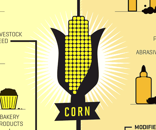 Corn
